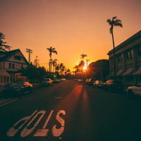 A street in San Diego with palm trees during sunset.